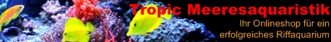 Tropic Meeresaquaristik
